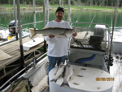 Nice Striped Bass